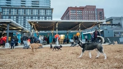Building a Bark-tastic Community: The Importance of Local Pet Groups and Clubs