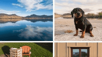 Top 10 Pet-Friendly Destinations in the U.S. for Your Next Vacation