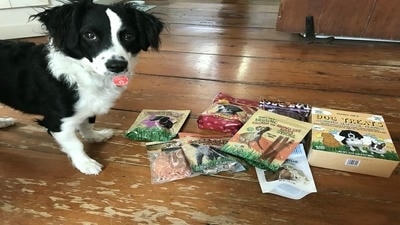 Treat Your Pet Right: Reviewing the Best Natural Dog Treats Available